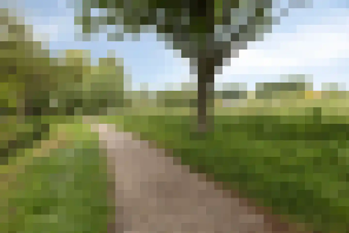 Witte Klaver 23 Rotterdam thumbnail 30