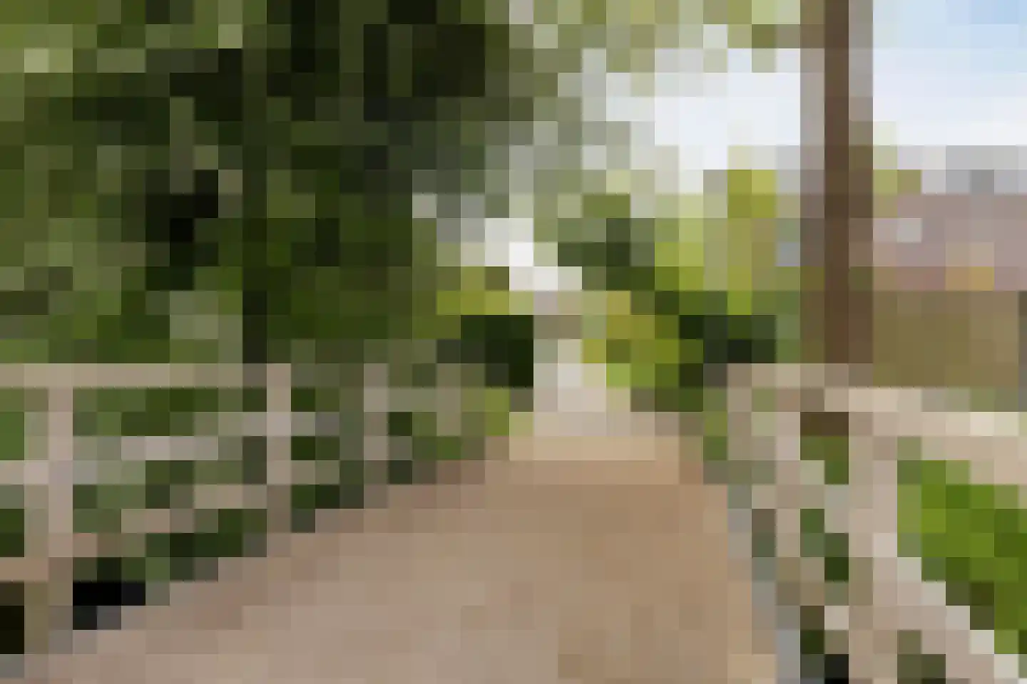 Witte Klaver 23 Rotterdam thumbnail 31