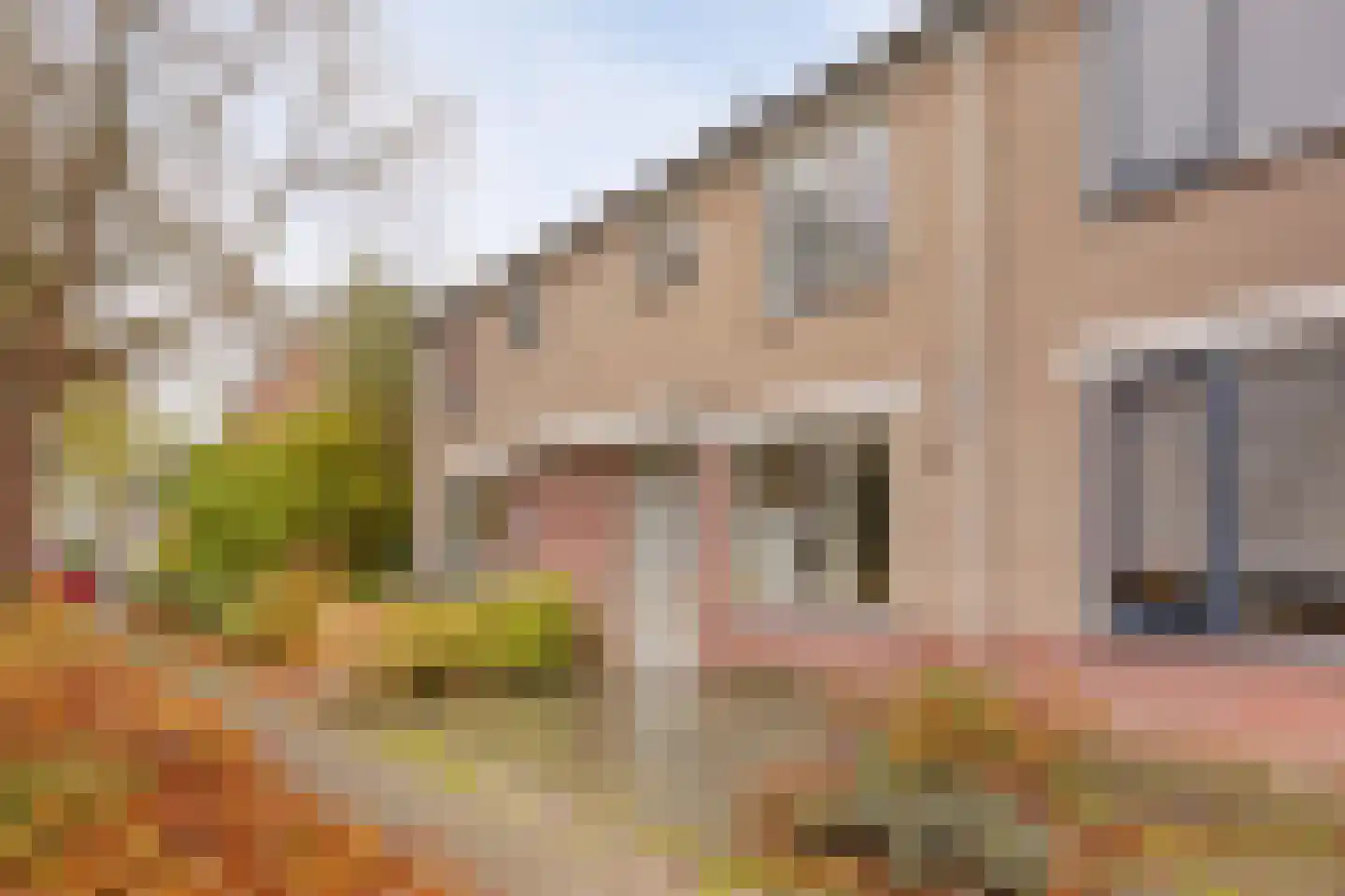 Witte Klaver 54 in Woubrugge