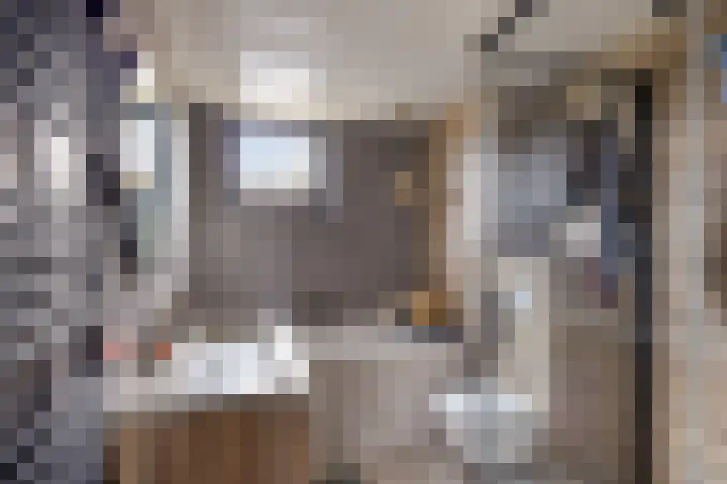 Witte Klaver 54 Woubrugge thumbnail 17