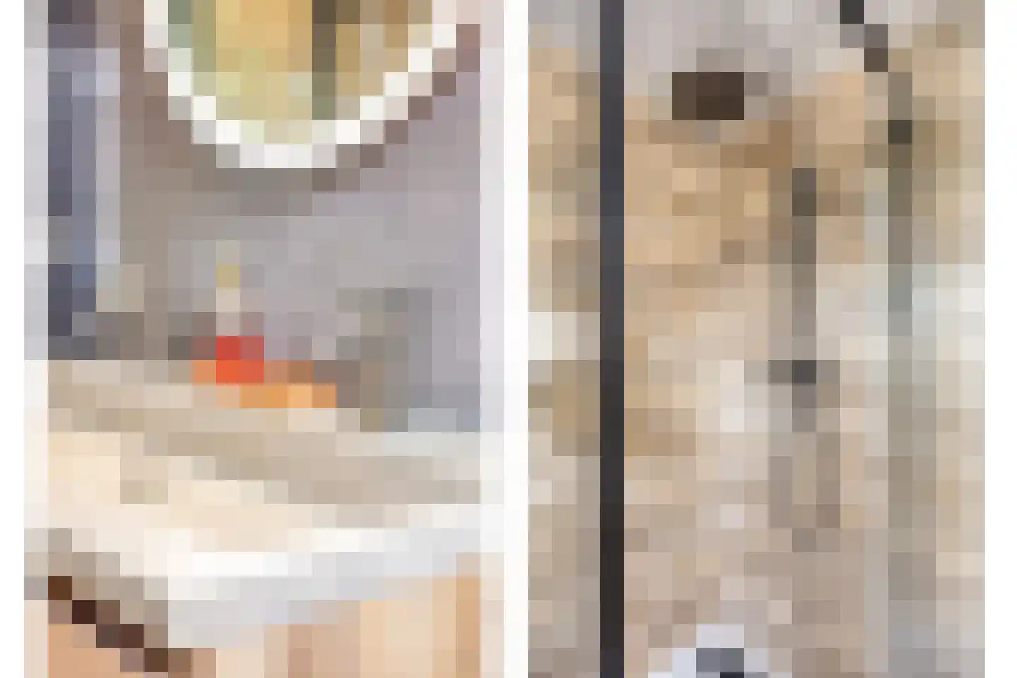 Witte Klaver 54 Woubrugge thumbnail 18