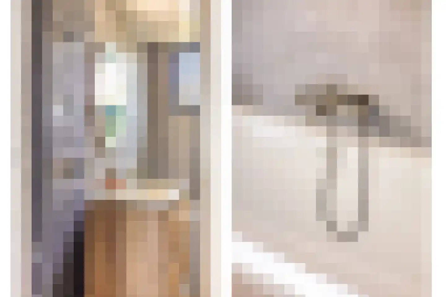 Witte Klaver 54 Woubrugge thumbnail 19