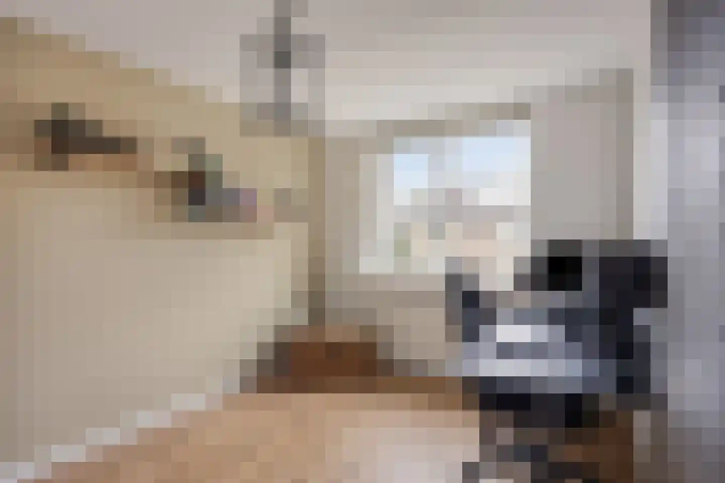 Witte Klaver 54 Woubrugge thumbnail 20