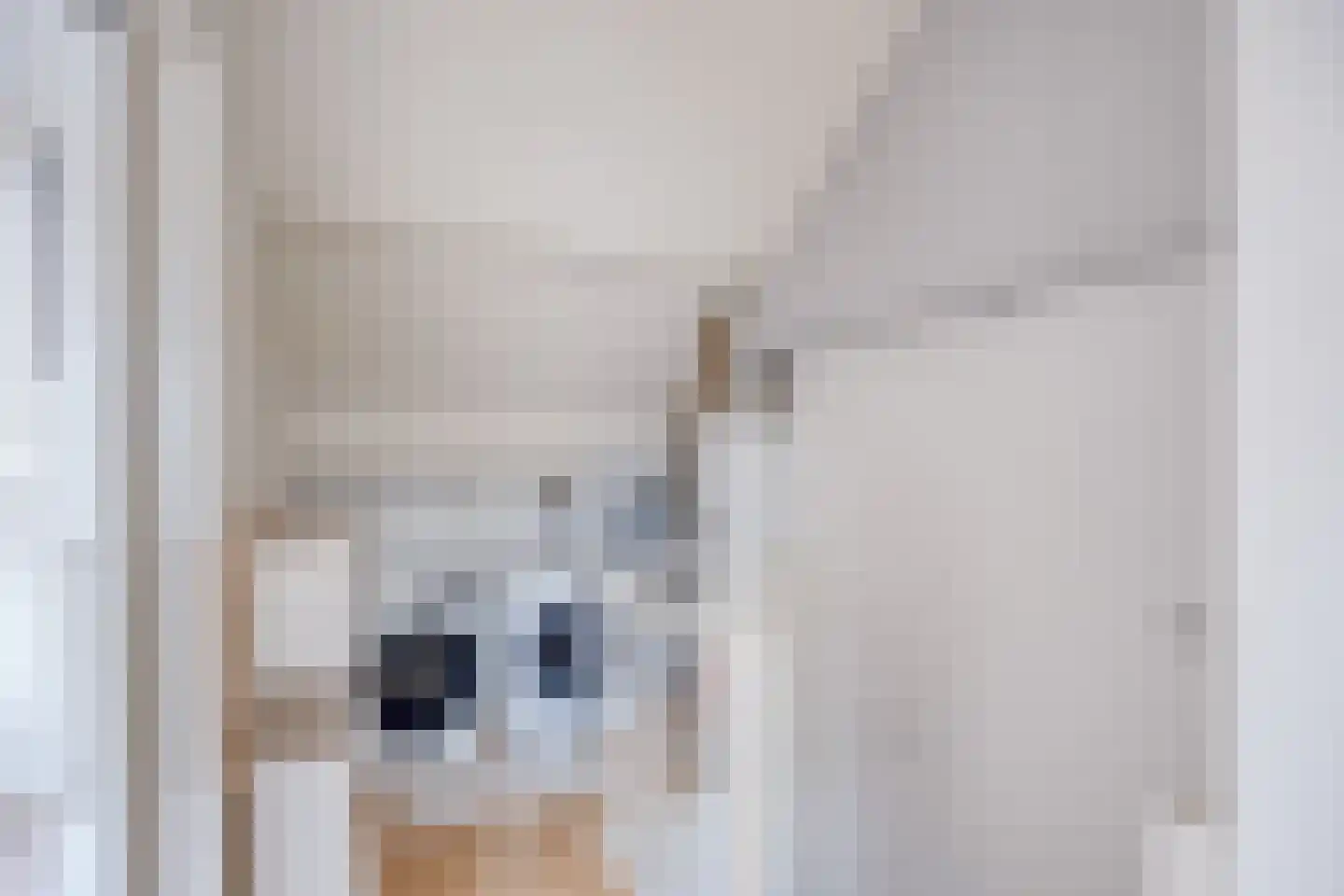 Witte Klaver 54 Woubrugge thumbnail 23