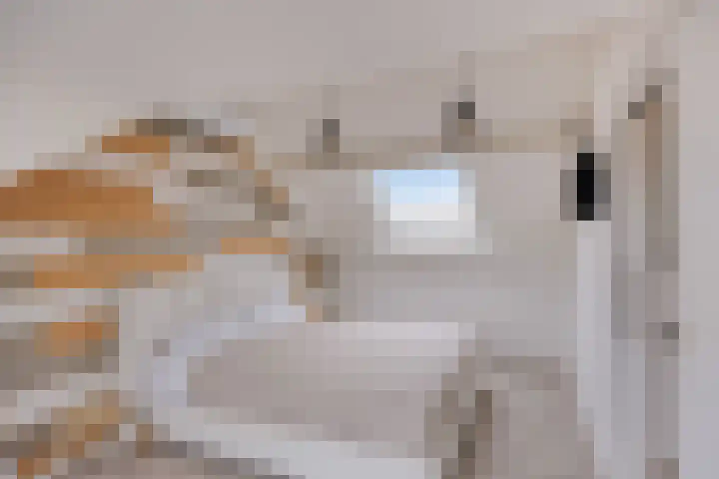 Witte Klaver 54 Woubrugge thumbnail 26
