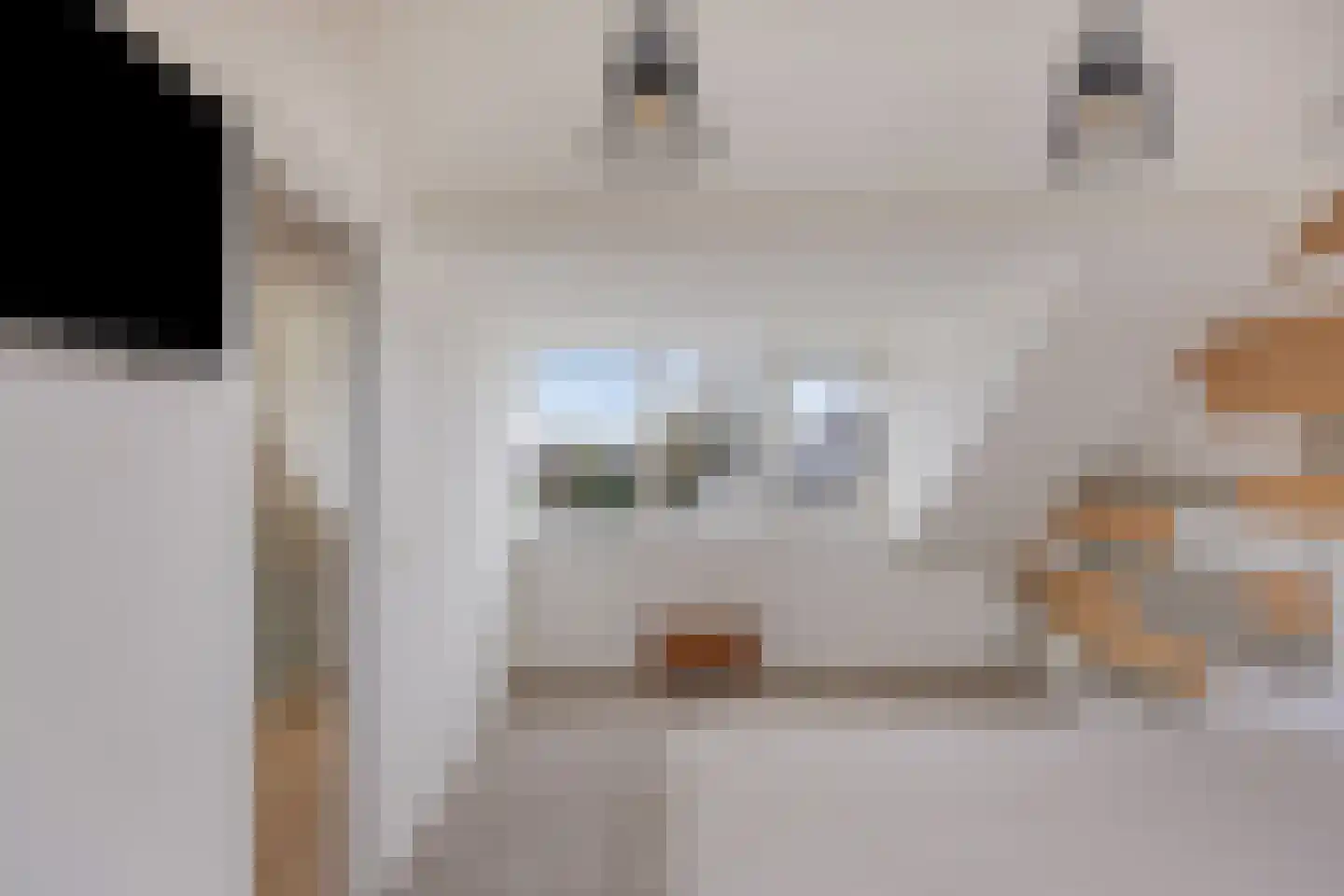 Witte Klaver 54 Woubrugge thumbnail 27