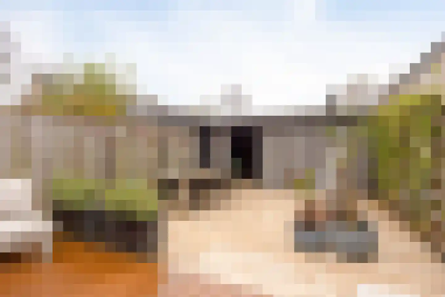 Witte Klaver 54 Woubrugge thumbnail 29