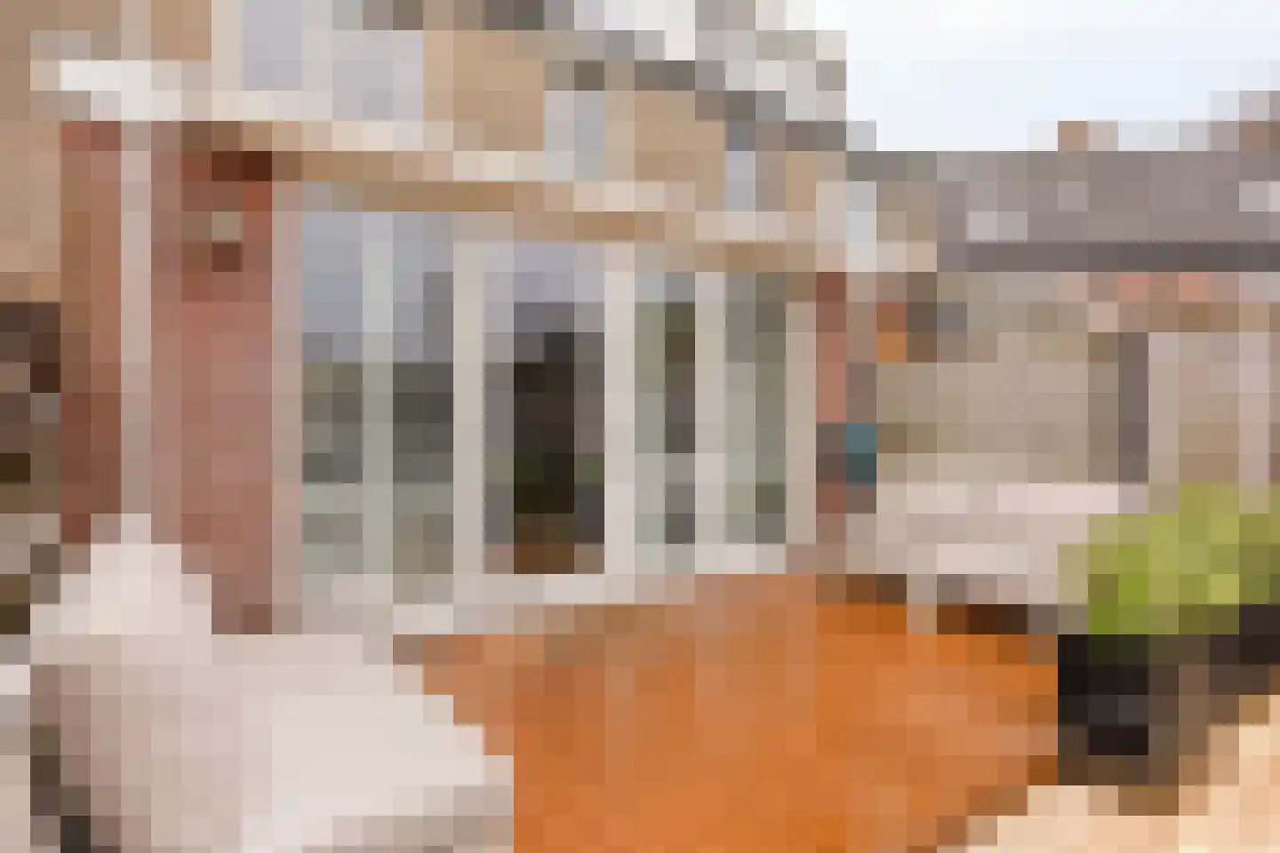 Witte Klaver 54 Woubrugge thumbnail 30