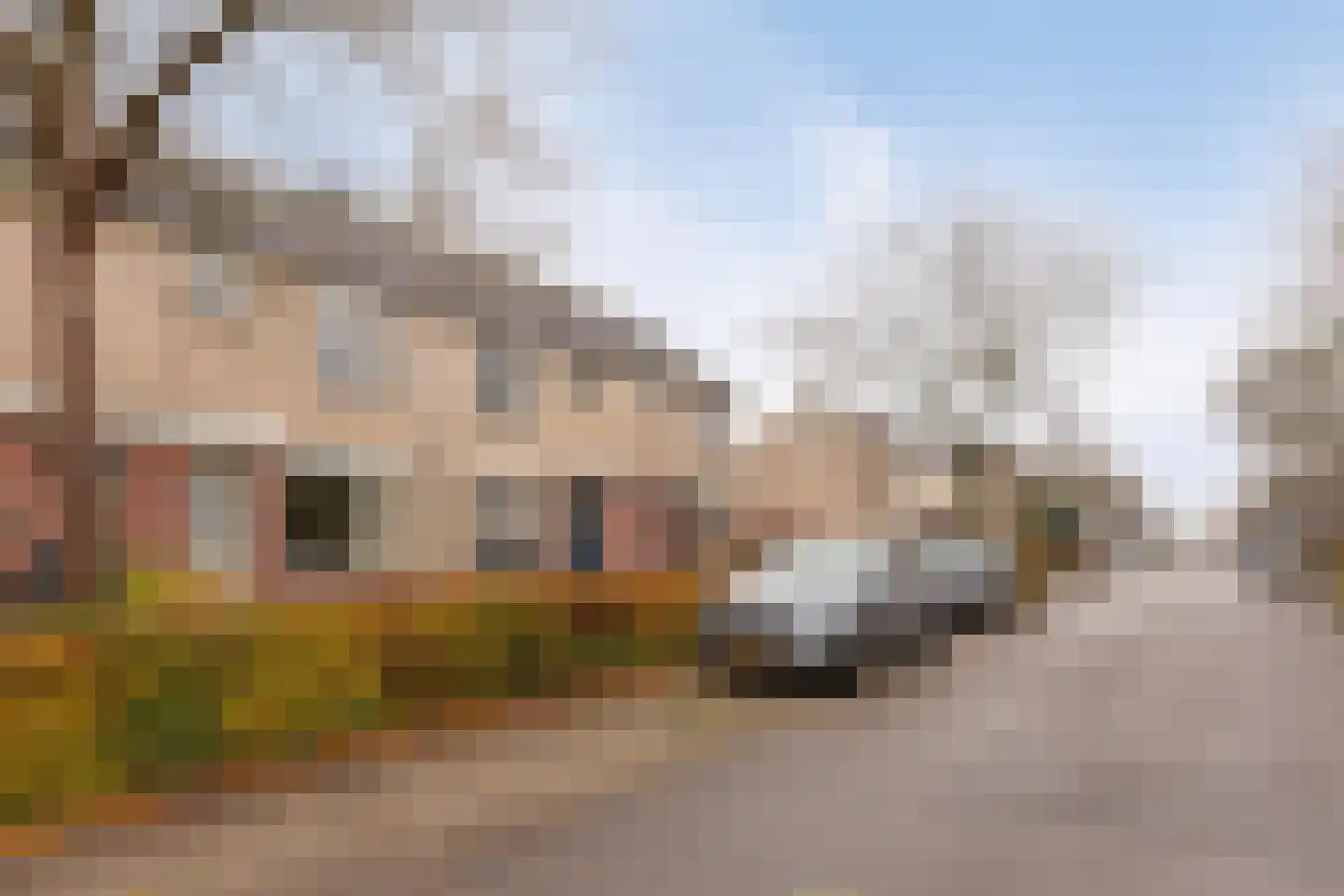 Witte Klaver 54 Woubrugge thumbnail 34