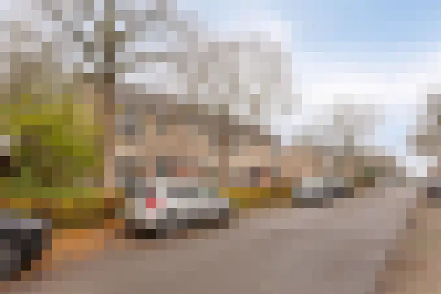 Witte Klaver 54 Woubrugge thumbnail 35
