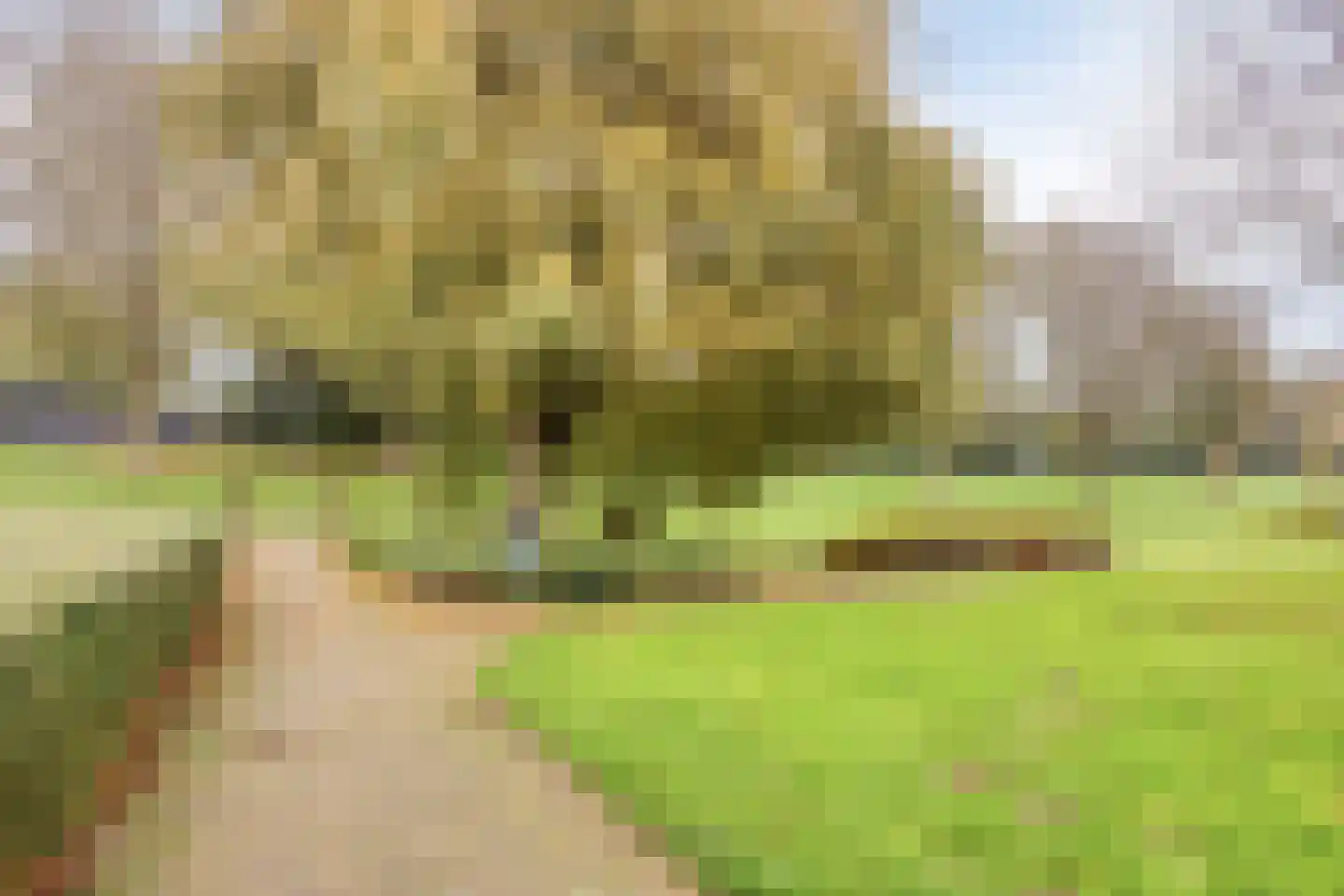 Witte Klaver 54 Woubrugge thumbnail 36