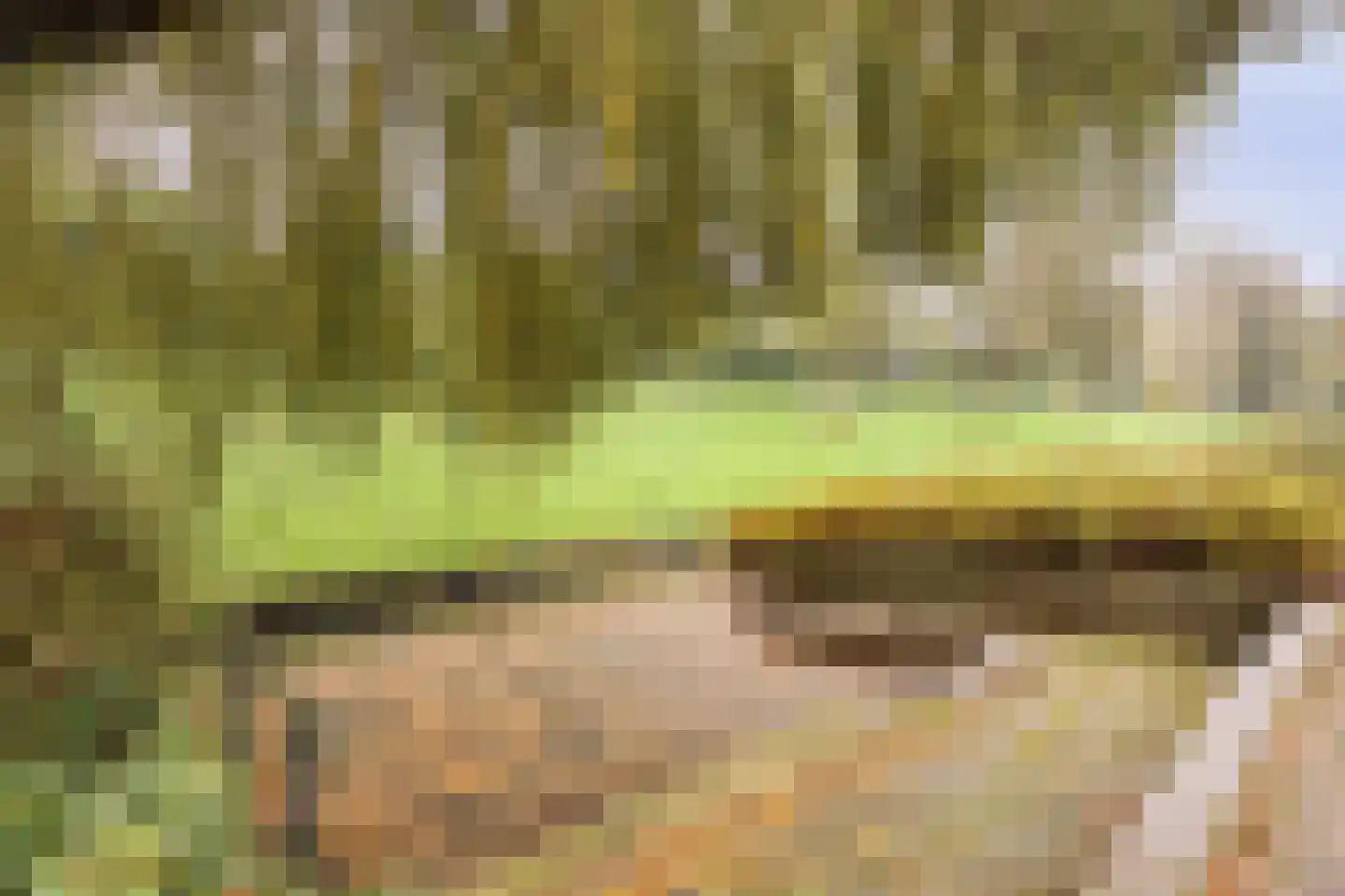 Witte Klaver 54 Woubrugge thumbnail 37
