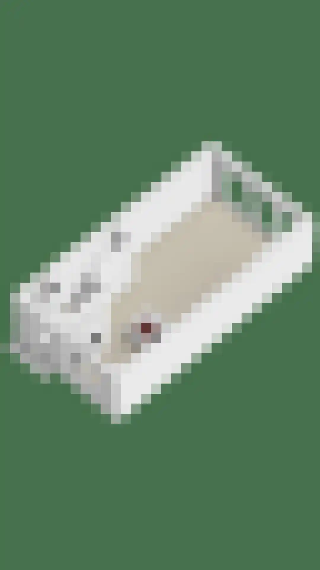 Witte Klaver 54 Woubrugge thumbnail 43