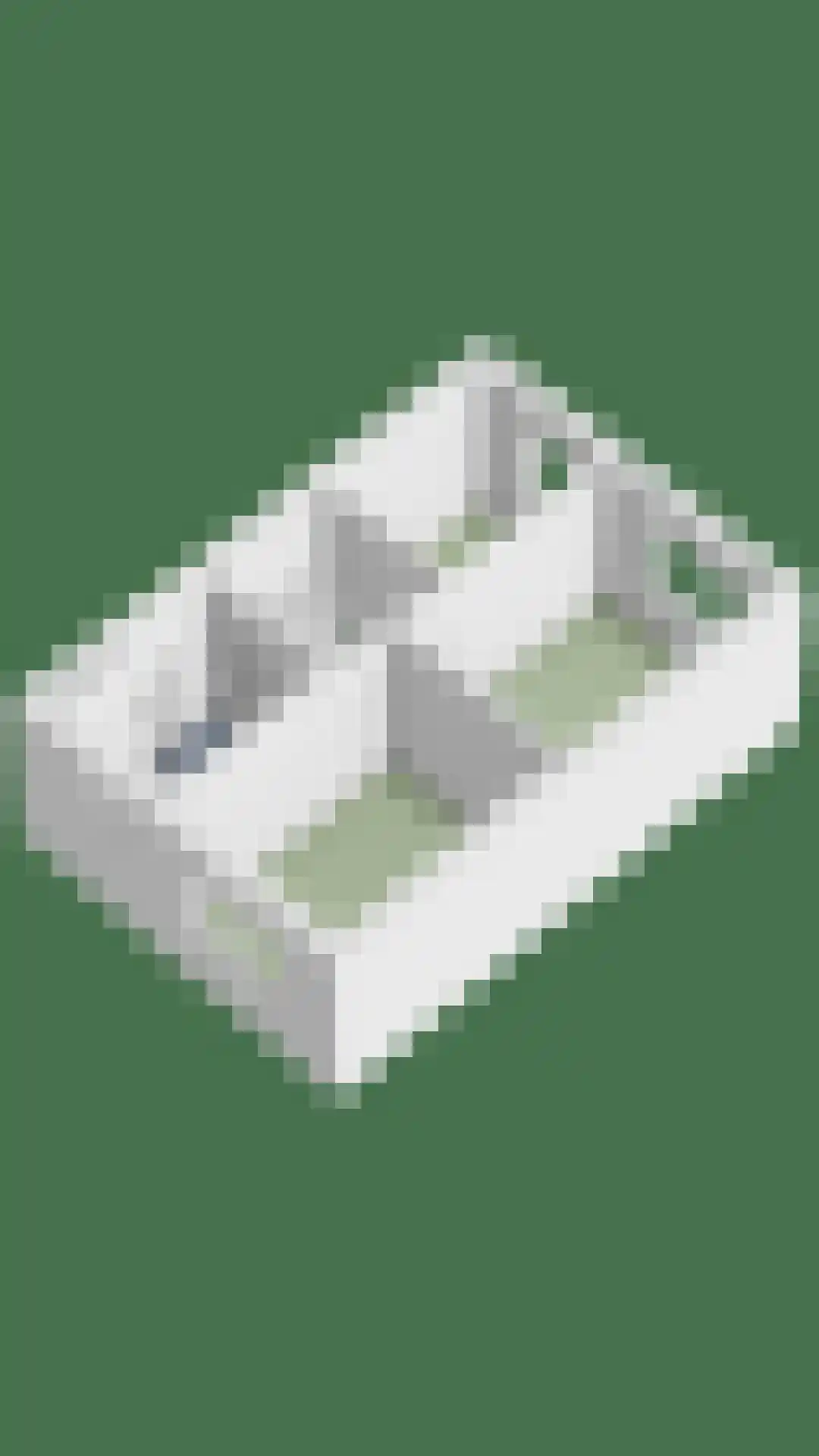 Witte Klaver 54 Woubrugge thumbnail 44