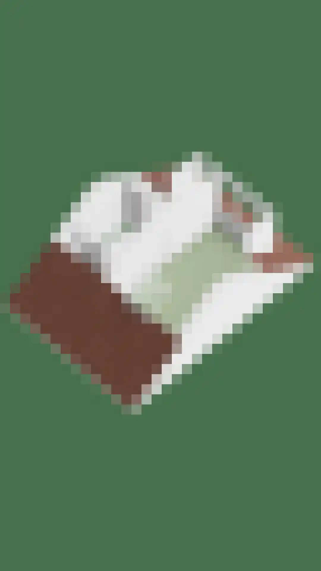 Witte Klaver 54 Woubrugge thumbnail 45