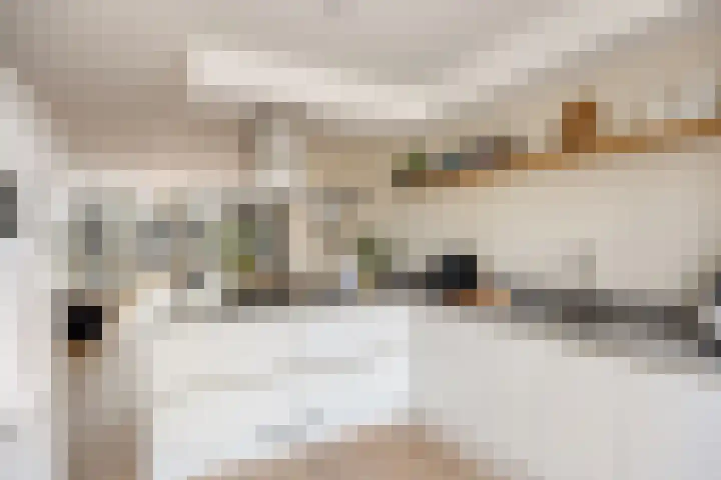 Witte Klaver 54 Woubrugge thumbnail 9