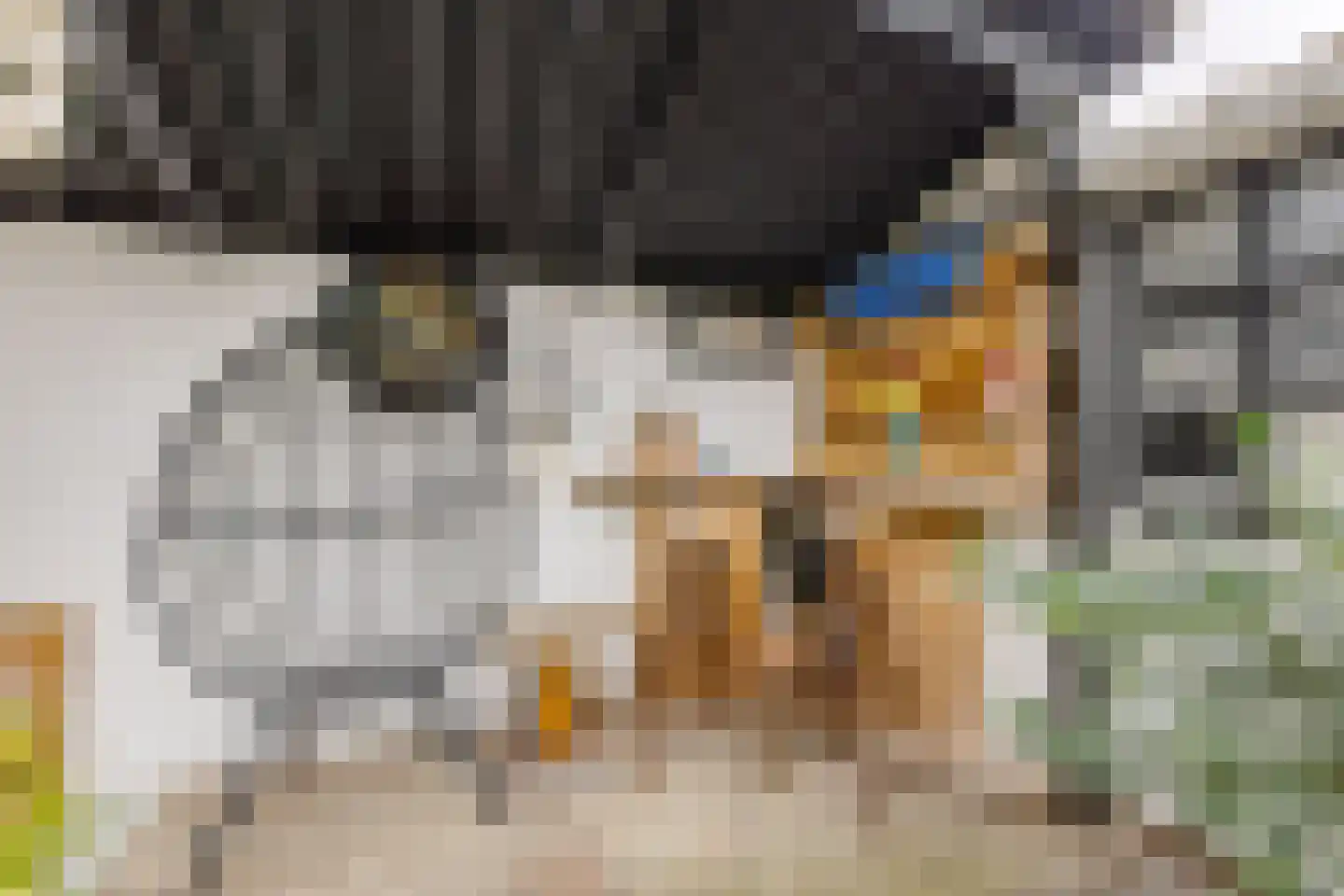 Witte Klaverlaan 16 Krommenie thumbnail 17