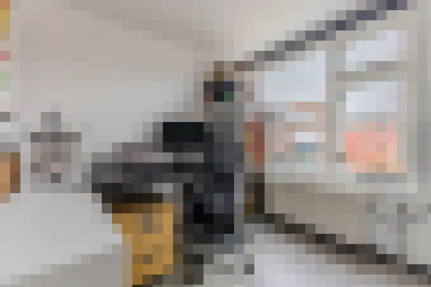 Witte Klaverlaan 16 Krommenie thumbnail 21