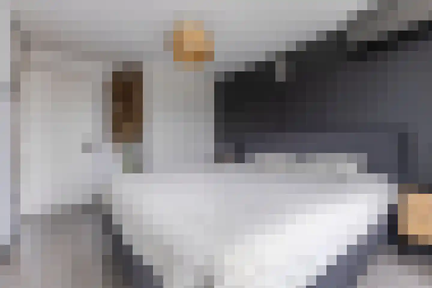 Witte Klaverlaan 16 Krommenie thumbnail 26