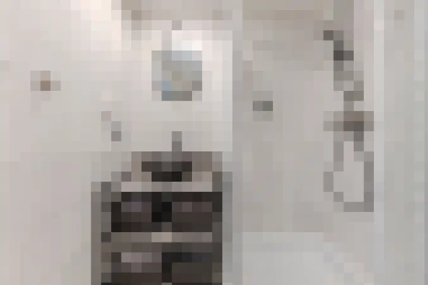 Witte Klaverlaan 16 Krommenie thumbnail 29