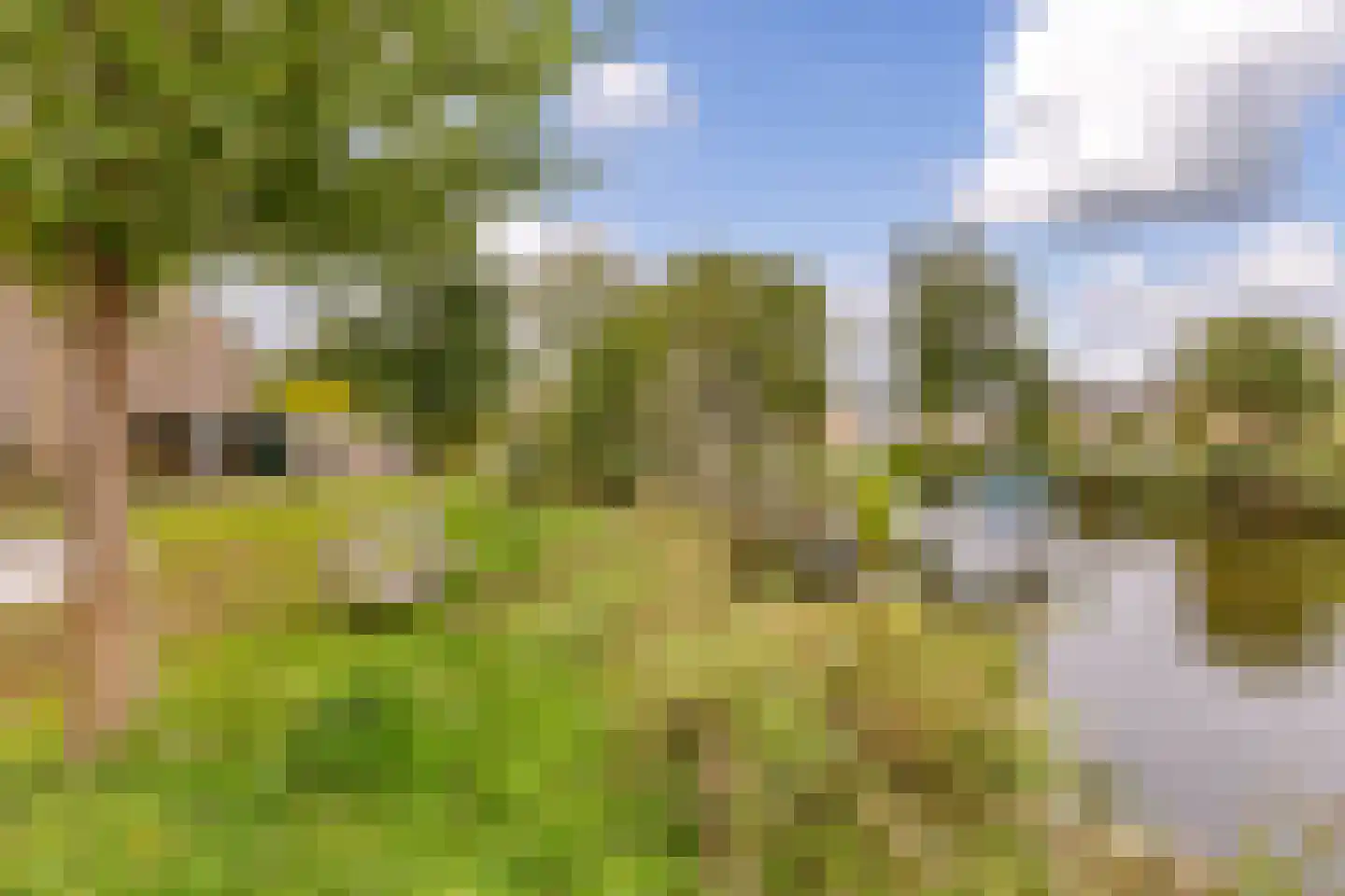 Witte Klaverlaan 16 Krommenie thumbnail 30