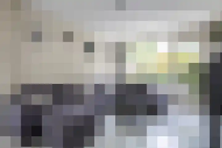 Witte Klaverlaan 20 Krommenie thumbnail 10