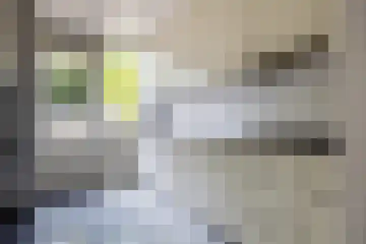 Witte Klaverlaan 20 Krommenie thumbnail 11