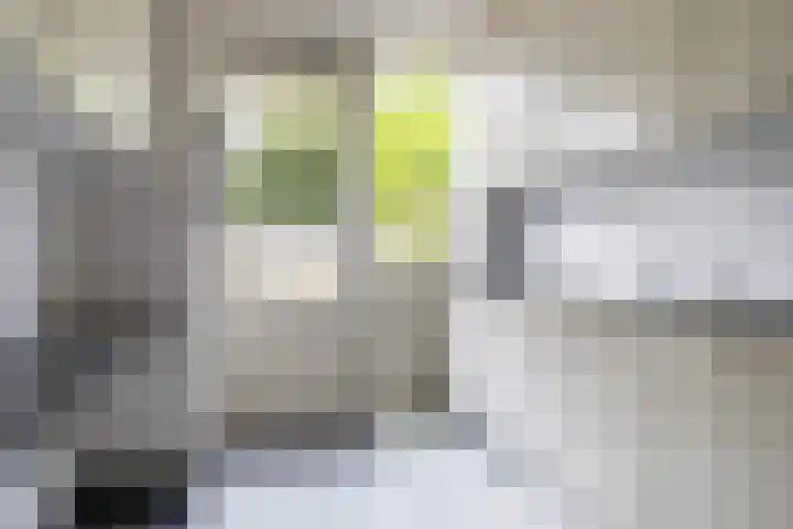 Witte Klaverlaan 20 Krommenie thumbnail 13