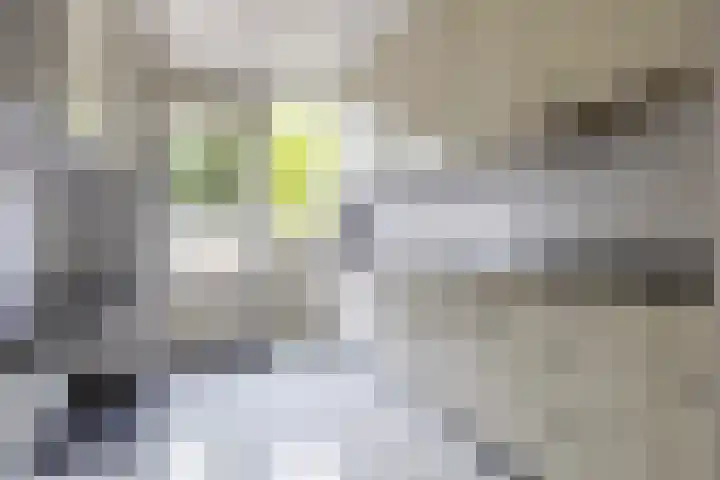 Witte Klaverlaan 20 Krommenie thumbnail 14