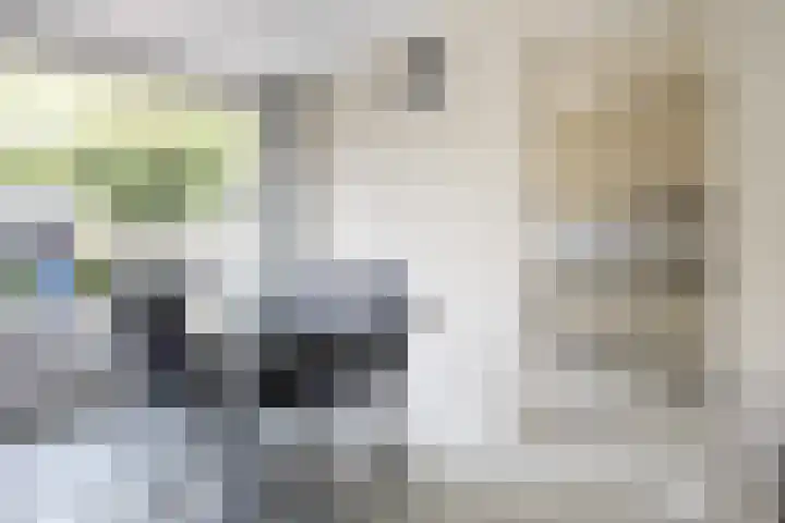 Witte Klaverlaan 20 Krommenie thumbnail 18