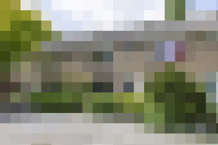 Witte Klaverlaan 20 Krommenie foto 2