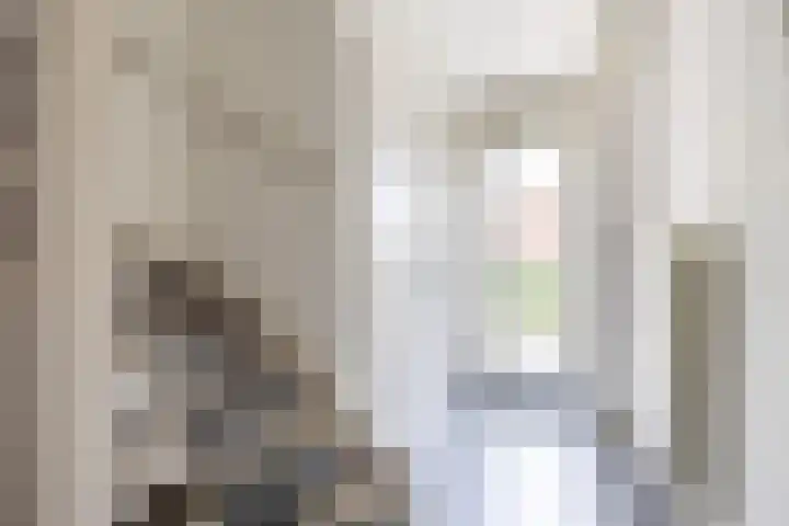 Witte Klaverlaan 20 Krommenie thumbnail 20
