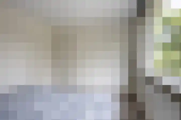 Witte Klaverlaan 20 Krommenie thumbnail 26