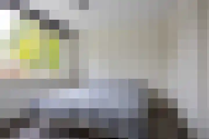 Witte Klaverlaan 20 Krommenie thumbnail 28