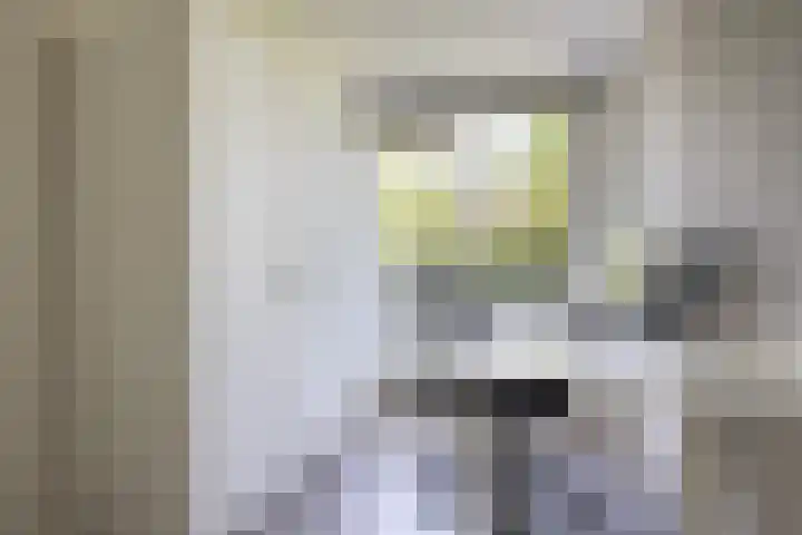 Witte Klaverlaan 20 Krommenie thumbnail 29
