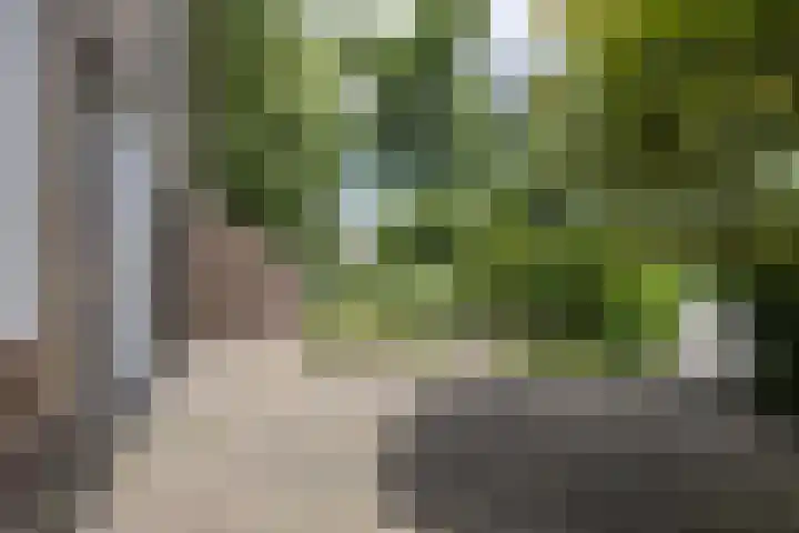 Witte Klaverlaan 20 Krommenie foto 3