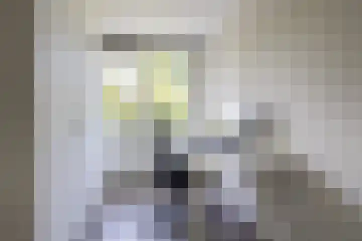 Witte Klaverlaan 20 Krommenie thumbnail 30