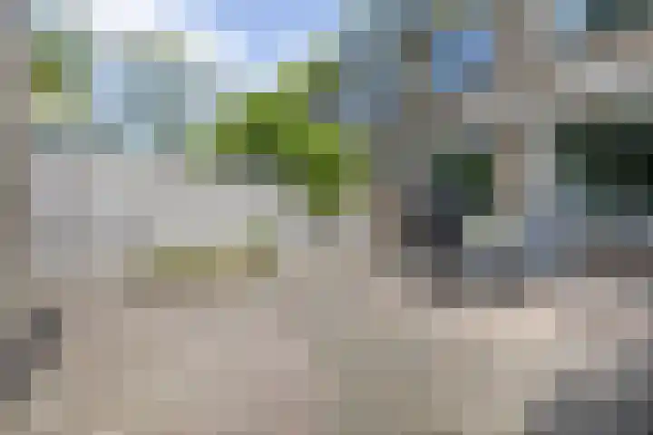 Witte Klaverlaan 20 Krommenie thumbnail 41