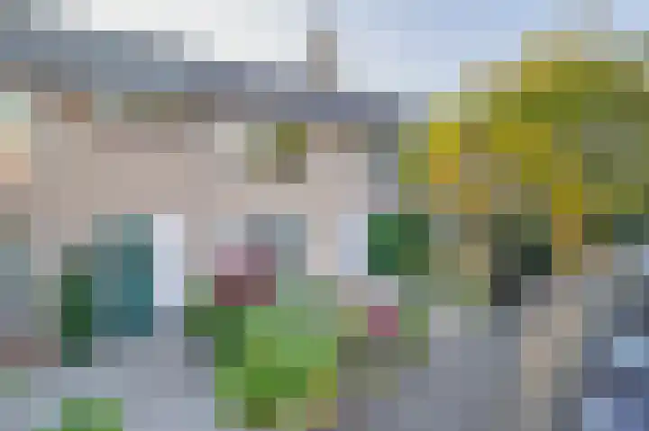 Witte Klaverlaan 26 Krommenie