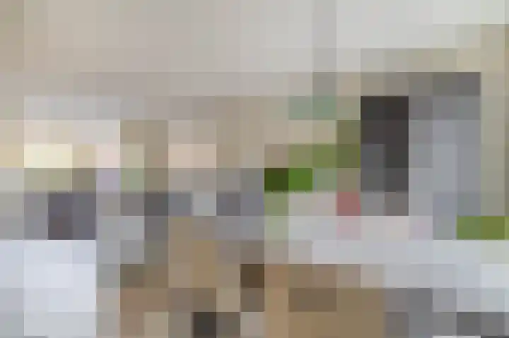Witte Klaverlaan 26 Krommenie thumbnail 16