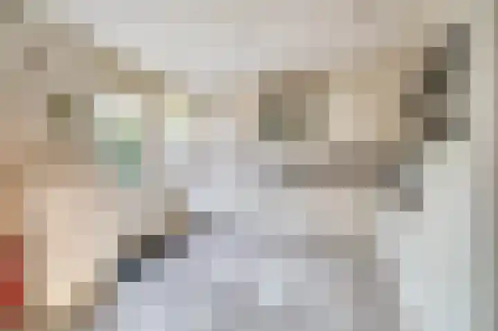 Witte Klaverlaan 26 Krommenie thumbnail 17