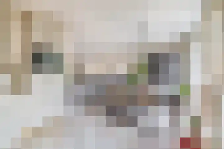 Witte Klaverlaan 26 Krommenie thumbnail 19
