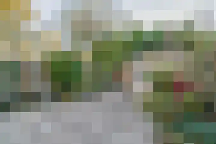 Witte Klaverlaan 26 Krommenie thumbnail 35
