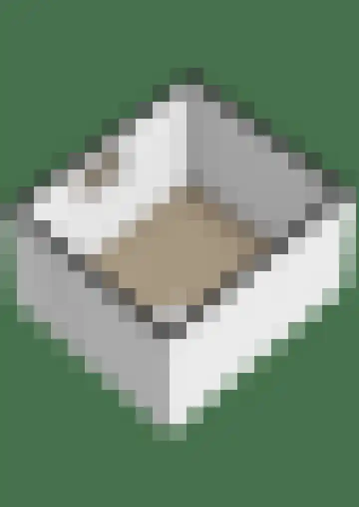 Witte Klaverlaan 26 Krommenie thumbnail 44