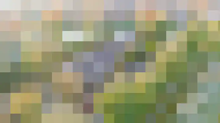 Witte Klaverlaan 26 Krommenie thumbnail 6