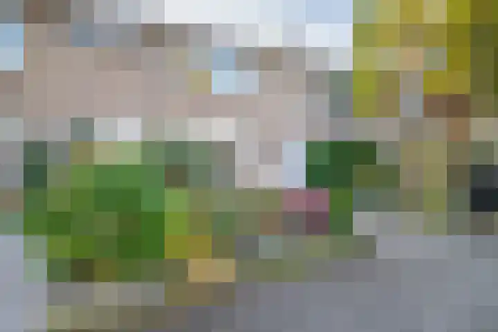 Witte Klaverlaan 26 Krommenie thumbnail 9