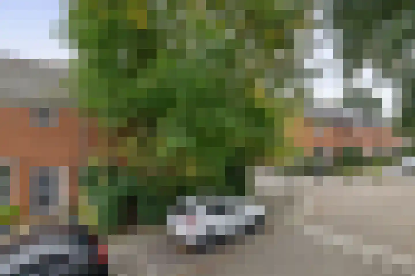 Witte Klaverlaan 35 Krommenie thumbnail 10