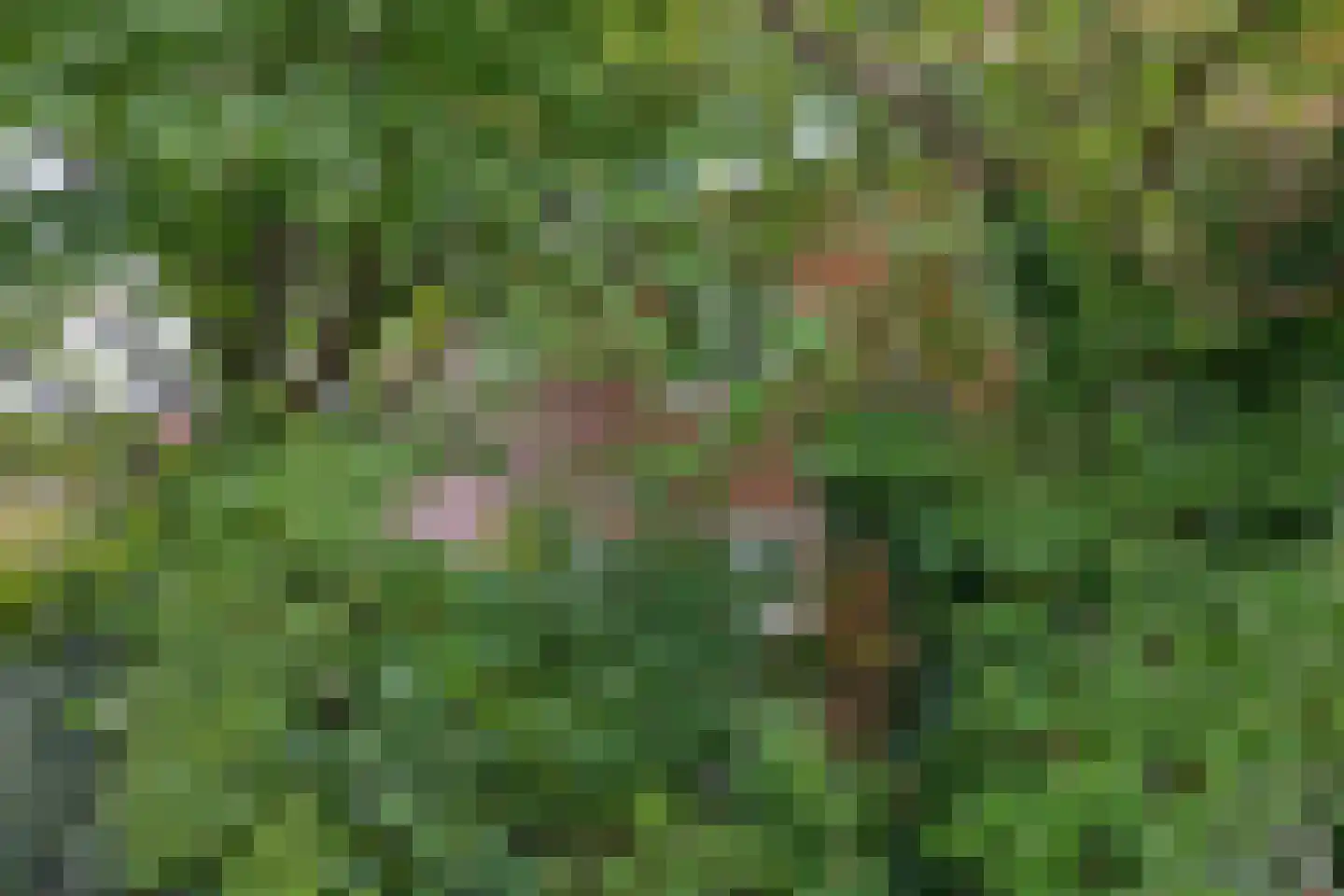 Witte Klaverlaan 35 Krommenie thumbnail 11