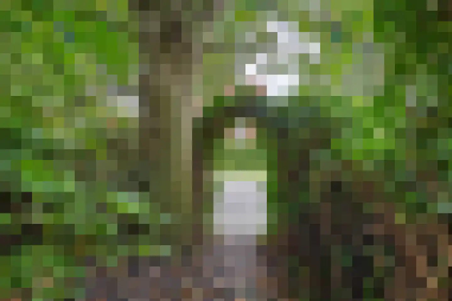 Witte Klaverlaan 35 Krommenie thumbnail 12