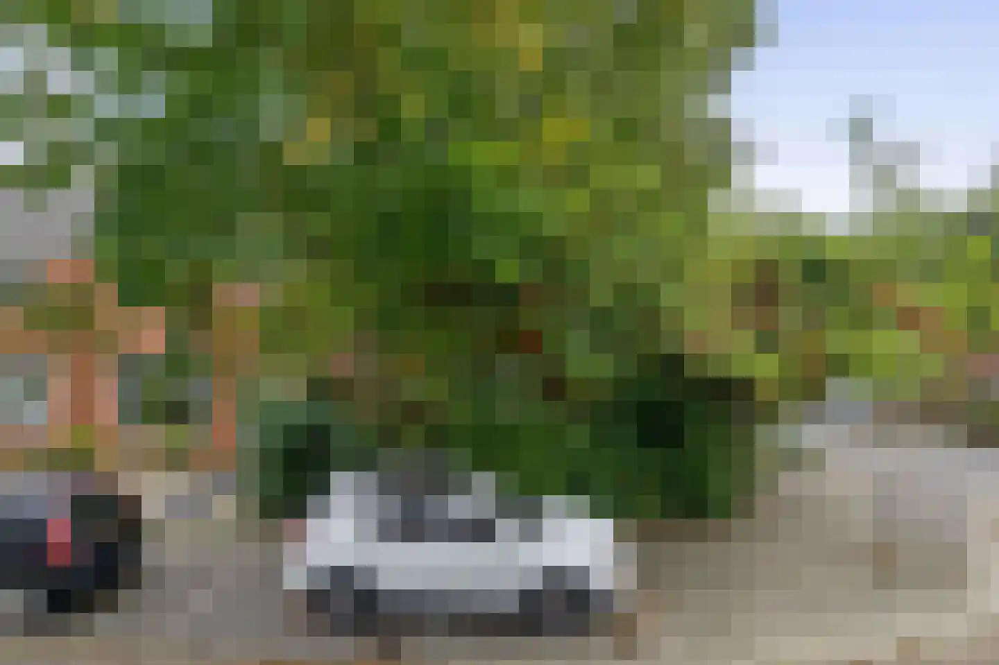 Witte Klaverlaan 35 Krommenie foto 2